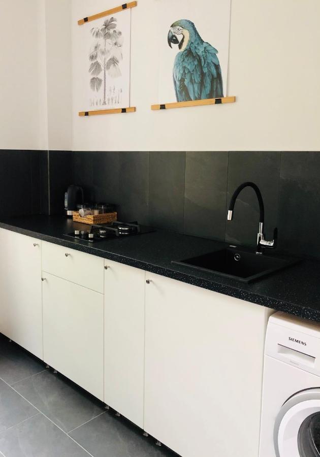 Pobuudka II Plebanska Z Widokiem Na Rynek Apartment Gliwice Ngoại thất bức ảnh